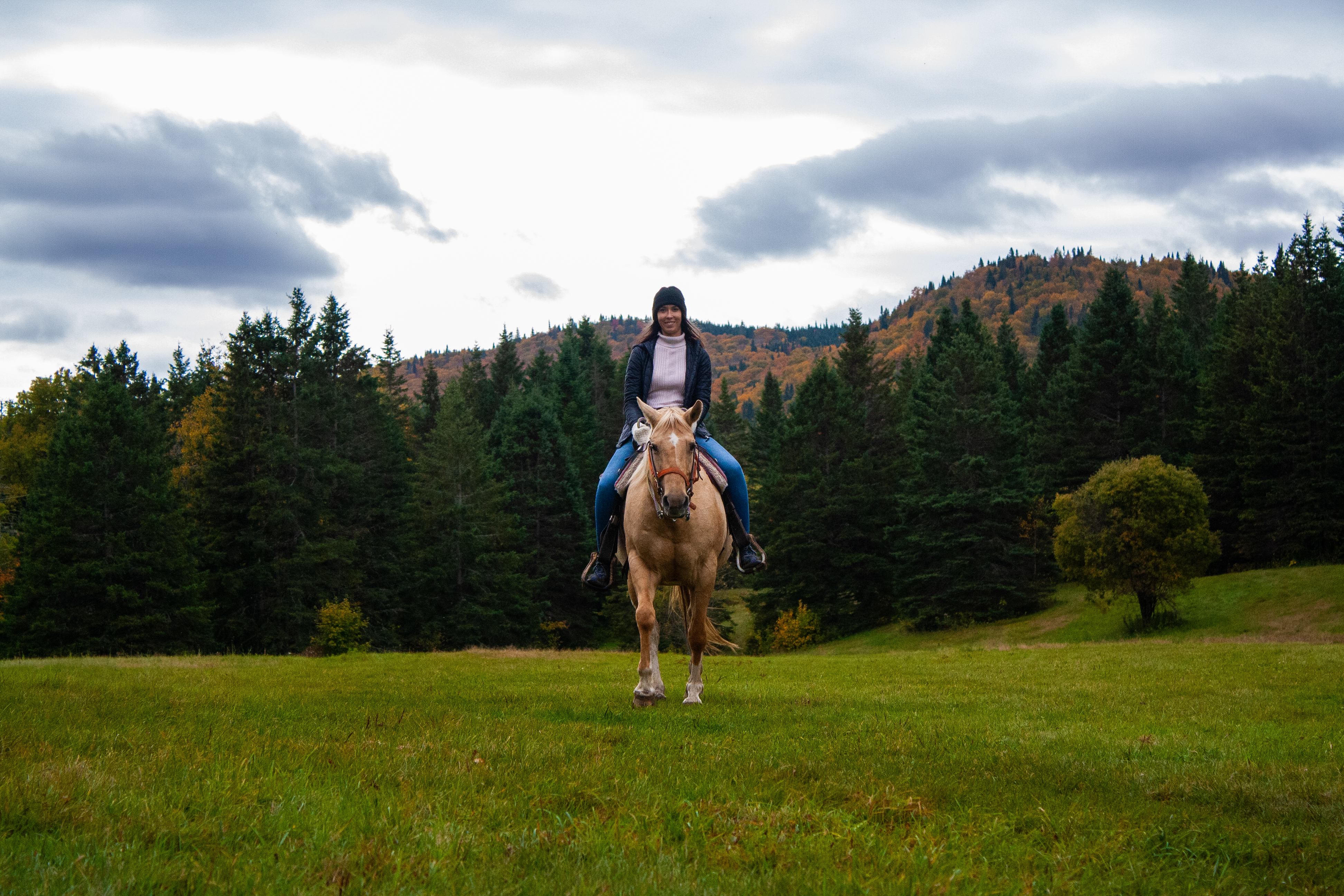Randonnée cheval, Équitation Québec, Tewkesbury